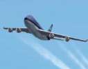 747.jpg